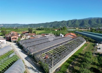 Commercial Activity Via Rivarola, Revello - photo 12