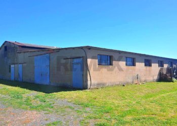 Casa all\'aperto - Rustic Rosignano Marittimo - photo 9