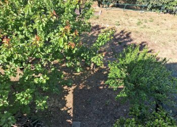 Terreno - Villa hamlet San Massimo, Rapallo - photo 9