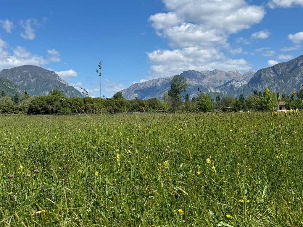 Terreno - Building land via Ippolito Nievo, Osoppo - photo 3
