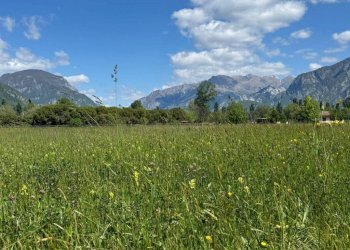 Terreno - Building land via Ippolito Nievo, Osoppo - photo 3