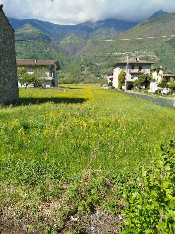 Terreno - Terreno edificabile via Viganà, Colorina - foto 2