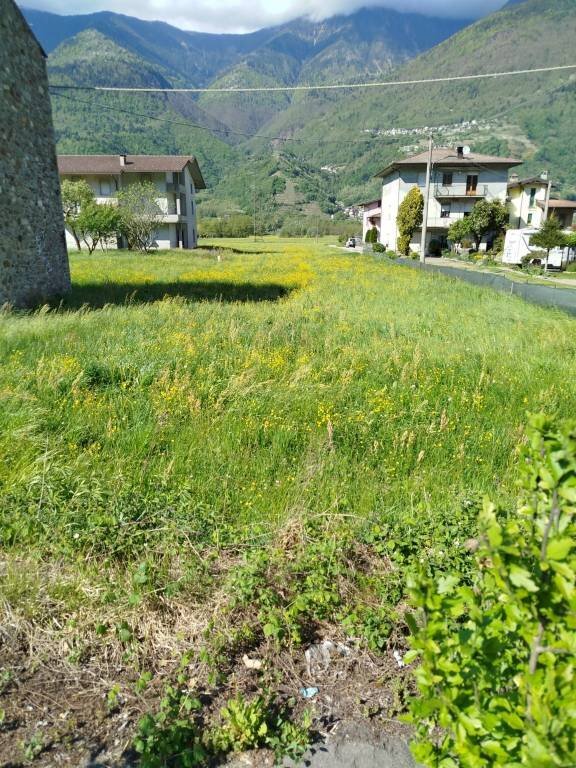 Terreno - Terreno edificabile via Viganà, Colorina - foto 3