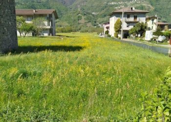 Terreno - Terreno edificabile via Viganà, Colorina - foto 1