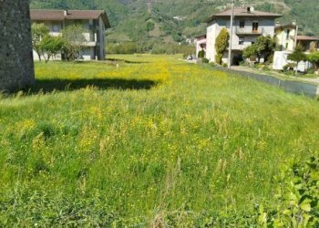 Terreno - Terreno edificabile via Viganà, Colorina - foto 2
