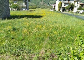 Terreno - Terreno edificabile via Viganà, Colorina - foto 3