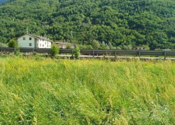 Terreno - Terreno edificabile via Viganà, Colorina - foto 4