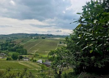 Vista - Rustic via Boidi, Calosso - photo 9