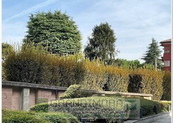 Altro - Quadrilocale via San Gerolamo Miani, Bergamo - foto 12
