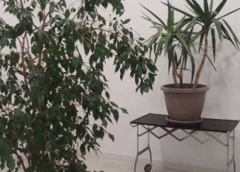 Interno palazzo - Ufficio via Andrea Moretti, Bergamo - foto 25