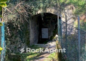 Terreno - Rustico strada Cattabiano, Langhirano - foto 24