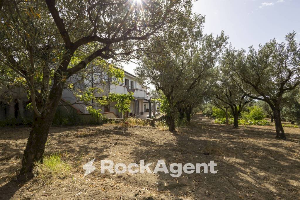 Terreno - Villa Località Zilleria, Gasperina - foto 1