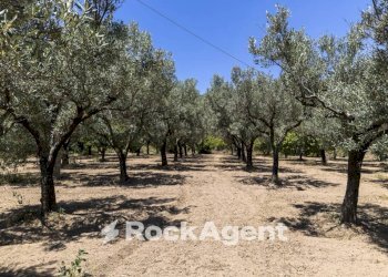 Terreno - Villa Località Zilleria, Gasperina - foto 38