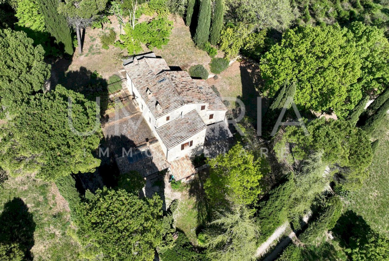 casale-in-pietra.jpg - Casale Via degli Ulivi 16, Baschi - photo 3