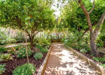 Giardino - Appartamento viale Lazio
 
1, Palermo - foto 6