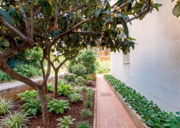 Giardino - Appartamento viale Lazio
 
1, Palermo - foto 16