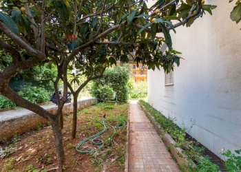 Giardino - Appartamento viale Lazio
 
1, Palermo - foto 33