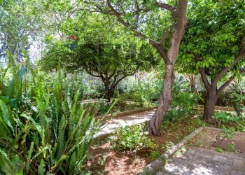 Giardino - Appartamento viale Lazio
 
1, Palermo - foto 44