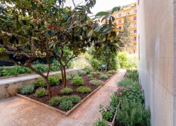 Giardino - Appartamento viale Lazio
 
1, Palermo - foto 51