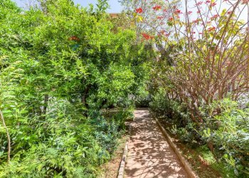 Giardino - Appartamento viale Lazio
 
1, Palermo - foto 57