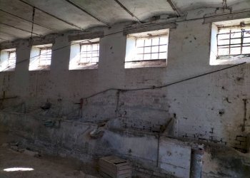 Magazzino - Rustico via Villa Santa Maria, 18, Filottrano - foto 8