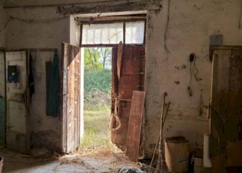 Cantina - Rustico via Villa Santa Maria, 18, Filottrano - foto 10