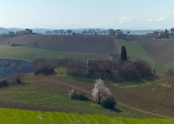 Terreno - Rustico via Villa Santa Maria, 18, Filottrano - foto 11