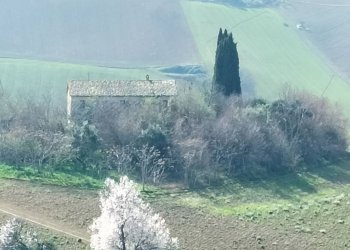 Vista - Rustico via Villa Santa Maria, 18, Filottrano - foto 12