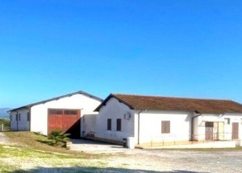 750369680.jpg - Capannone Fiano Romano - foto 2