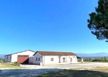 750369685.jpg - Capannone Fiano Romano - foto 4