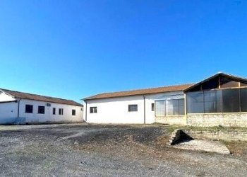 750369687.jpg - Capannone Fiano Romano - foto 6
