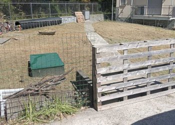 WhatsApp Image 2026-05-02 at 11.55.28 (4).jpeg - Apartment Via Barletti, Casarza Ligure - photo 14