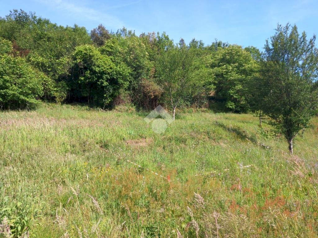 Agricultural land Via Ripaio, Cicagna - photo 1