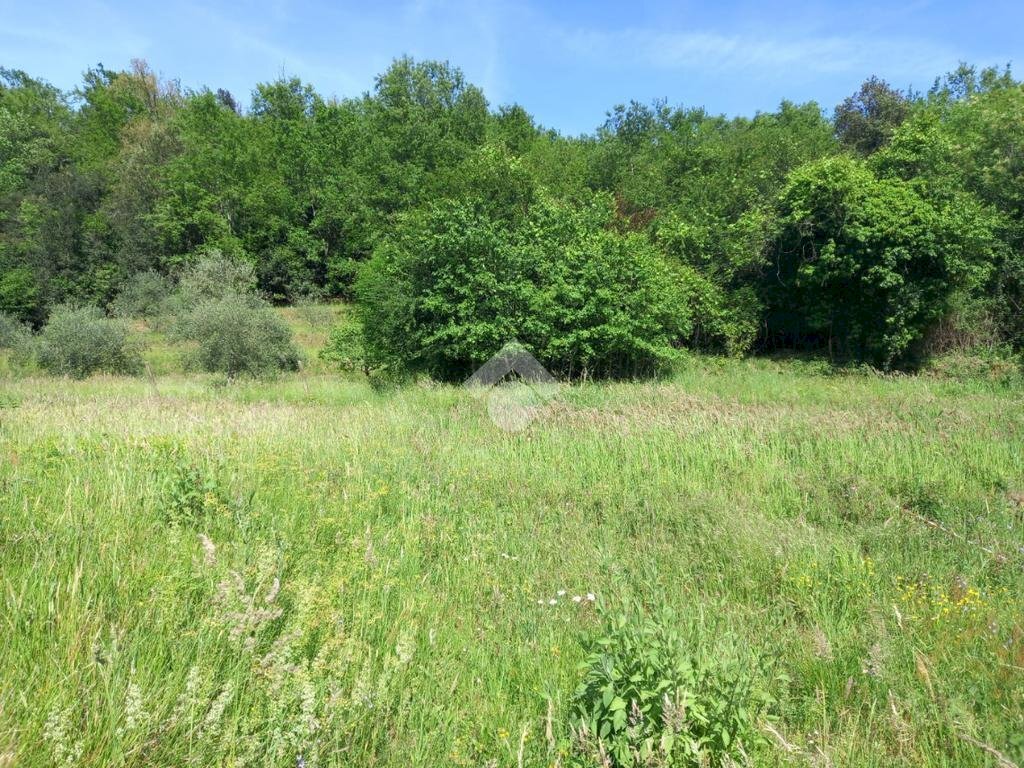 Agricultural land Via Ripaio, Cicagna - photo 2