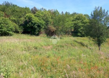 Terreno agricolo Via Ripaio, Cicagna - foto 1