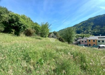 Terreno agricolo Via Ripaio, Cicagna - foto 3