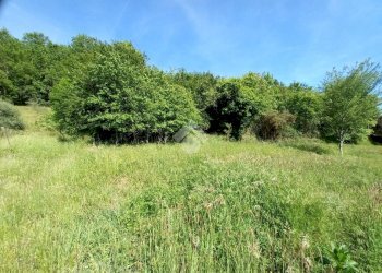 Terreno agricolo Via Ripaio, Cicagna - foto 4