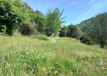 Terreno agricolo Via Ripaio, Cicagna - foto 5