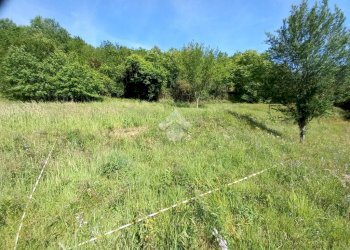 Terreno agricolo Via Ripaio, Cicagna - foto 8