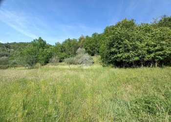 Terreno agricolo Via Ripaio, Cicagna - foto 10