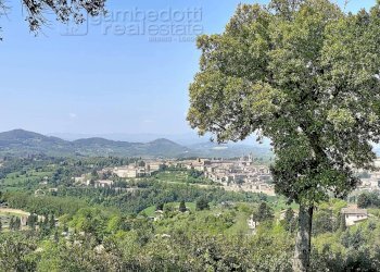 Foto 80 - Villa Urbino - foto 80