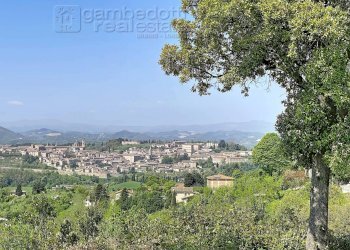 Foto 81 - Villa Urbino - foto 81