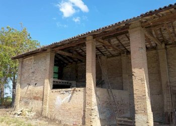 Terreno - Villa San Giovanni in Persiceto - foto 5