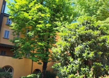 Giardino - Appartamento via Santo Stefano, 103, Bologna (zona Centro Storico) - foto 9