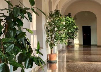 Interno palazzo - Appartamento via Santo Stefano, 103, Bologna (zona Centro Storico) - foto 11