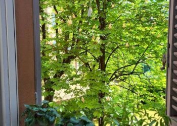 Balcone - Appartamento via Santo Stefano, 103, Bologna (zona Centro Storico) - foto 12