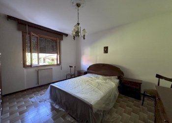 IMG_5979.jpeg - Appartamento Villadose - foto 11