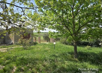 02.jpg - Casale Via Paganico 2, Castiglione del Lago - foto 2