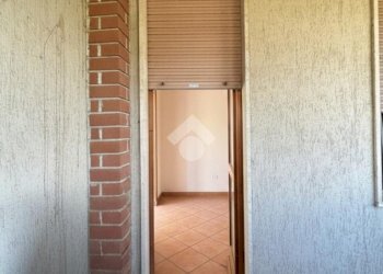 Trilocale Via Vecchia Novi, Basaluzzo - foto 19