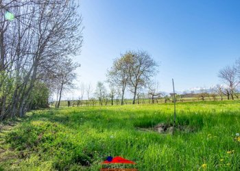 Farmhouse Strada Raffo, 32, Busca - photo 29